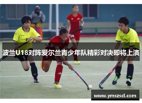波兰U18对阵爱尔兰青少年队精彩对决即将上演
